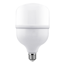 Classic Series LED T Bulb